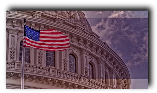 governmentofferingsimage governmentofferingsimage